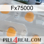 Fx75000 24